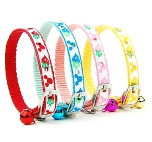 Floral Pet Collar