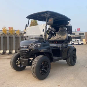 Wholesale 2 Seater Golf Cart