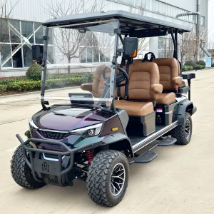 6 Seater New Design