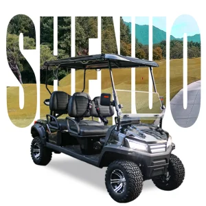 Street Legal LSV Electric Golf Cart-72V 25mph 45 Miles Range DOT Certified 4-Seater for Community Living