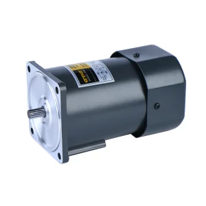 Micro AC Gear Motor