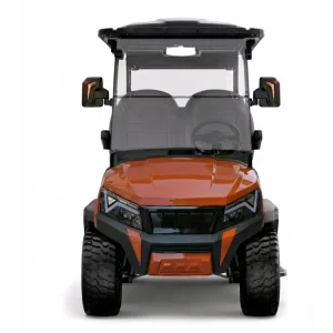 Carrinho de Golfe Luxuoso com Assentos 6+2