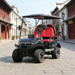 Vietnam Golf Car