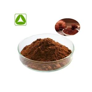 Natural Reishi Mushroom Extract Powder for Enhanced Wellness and Longevity