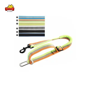 Heavy Duty Car Seat Belt