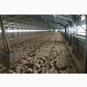 Modular Frame Chicken Poultry/Cow Farm House Prefabricated Light Steel Design Farmhouse Style Chicken House Grade 14 Wind