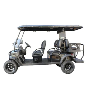 2025 Premium Electric 6-Seater Golf Cart with 50-70km Range for Family and Friends