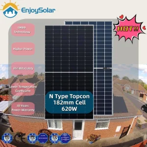 Solar Panel 182mm N Type Solar Cell 590W 600W 610W 620W Double Glass Bifacial Solar Panel Module Price for Ground Mounted Solar Plant