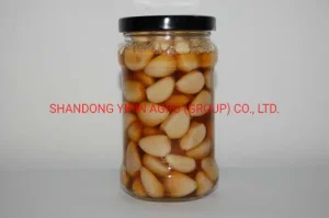 Vinegar Soy Garlic