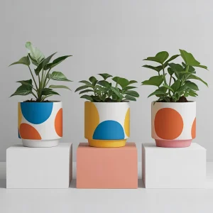 China Modern Abstract Circle Ceramic Flower Pots for Home Decor VDLK4591 Manufacturers, Factories