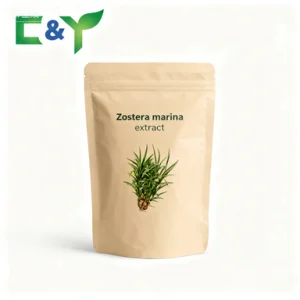 Zostera Marina Leaf Extract Powder