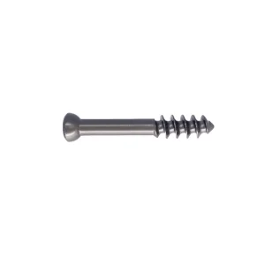 Cancellous Screw