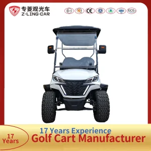 Zlingcar CE Approved 4-Seater Electric Golf Cart with Foldable Storage Basket for Community Commutes for Sale
