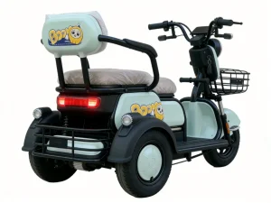 Large Inventory Robust Competitive Electric Trike for Last-Mile Logistics