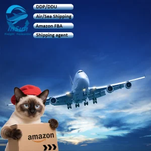 LCL &amp; FCL Shipment Door to Door Sea/Air Freight Customs Clearance Servicer From Shenzhen to Mexico USA Canada