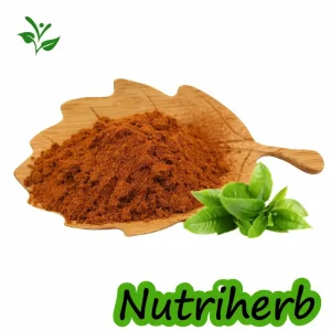Green Tea Extract
