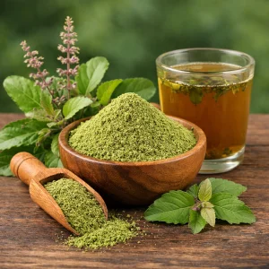 WARRLY Natural Holy Basil Extract Powder Herbal Tulsi Leaf Food Grade 99% Ayurvedic Solvent Extraction CAN/BOTTLE/DRUM OEM