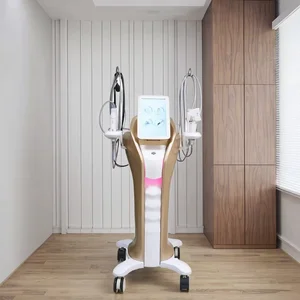 7D Hifu 20000 Shots Anti Wrinkle Face Lift Skin Tightening Body Slimming Hifu Salons Popular Mini Professional Hifu Machine
