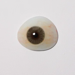 Eyeshare Lensescolor Contact Lenses Display Shelf