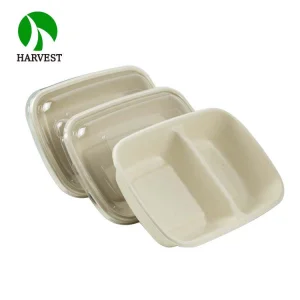 Multiple Specifications Rectangle Biodegradable Eco Friendly Food Packaging