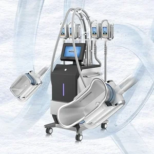 Cool Vacuum System Aesthetics Weight Loss Cryo Equipment coolsculpting 360 Fat Freezing Cryolipolysis Machine