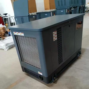 Binshi Power Dual Fuel Generators LPG Propane Natural Gas Gasoline Genset Standby Electricity Power Generation Machine