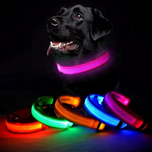 LED Dog Collar