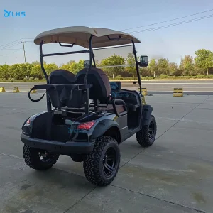 Black Electric Customized Color Golf Carts Garden Utility Vehicles Golf Buggy Cart for Adults Golf Car with Competitive Price