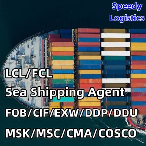 Sea Shipping Agent From China to Algiers, Algeria, USA, Dakar Air Sea Freight Forwarder Container Shipping
