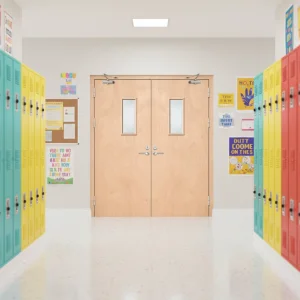 Wood Grain Fire Rated Safety Door