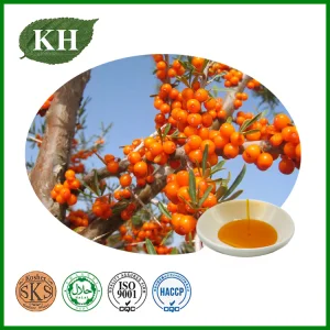 Healthcare Flavonoids Sea Buckthorn Fruit Extract