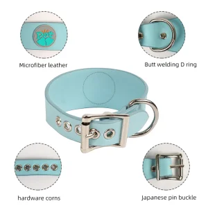 PU Leather Dog Collar and Leash