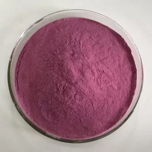 Blueberry Powder