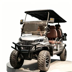 Comfort Golf Car Smooth Ride 6-Seater
