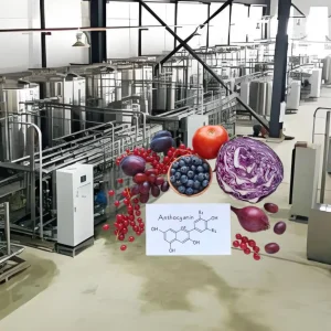 Anthocyanin Extraction and Deep Processing Membrane Separation Equipment