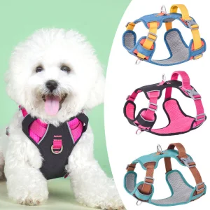 Arnés y correa ajustables con patrón floral de cuero reflectante para perros pequeños y medianos, ideal para paseos al aire libre