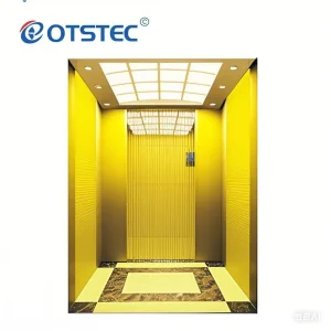 Otstec Modern and Luxury Customized Home LFT Villa Elevator