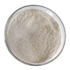 Alpha Amylase Powder