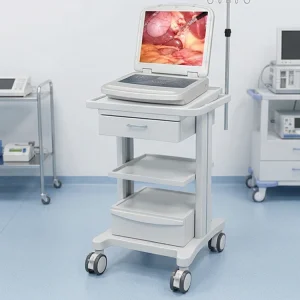 Full HD Endoscopy