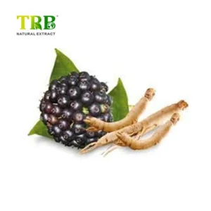 Wholesale Siberian Ginseng Extract Supplier