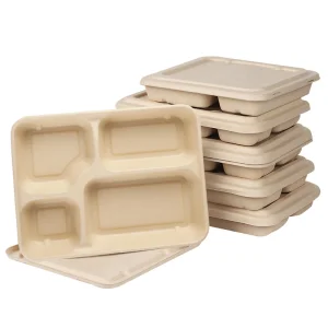 Biodegradable Disposable Folding Lunch Box