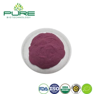 Polvo de Acai Berry Premium