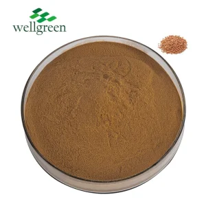 White Mustard Seed Extract Powder