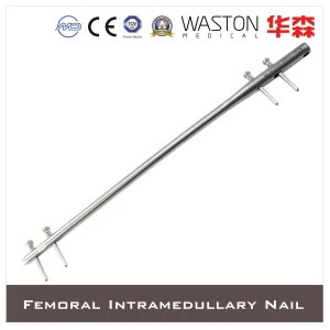 Femoral Intramedullary Nails