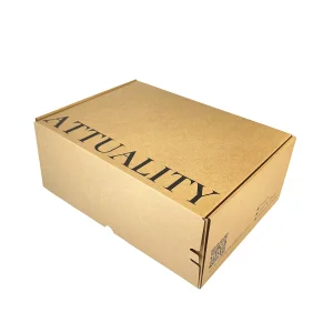Kraft Cardboard Mailer Box Custom Logo Rigid Corrugated Foldable Recyclable Shipping Packaging Self-Adhesive Eco-Friendly FSC