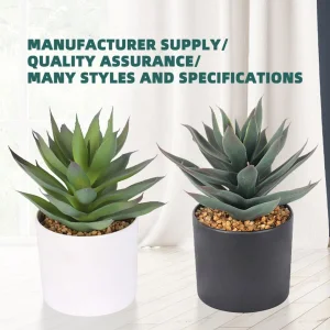 Artificial Succulents