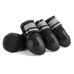Zapatos deportivos para perros modernos