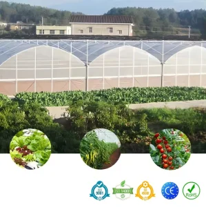 Greenhouse