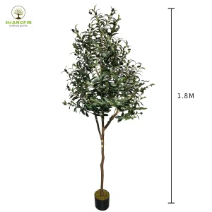 Olive Tree