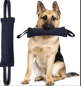 Interactive Jute Tug Toy